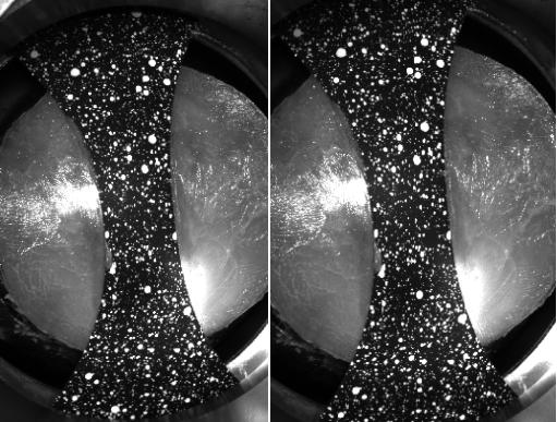 XTDIC-FLC板材成形極限測量系統(tǒng)用于薄板極限成形測量FLC.jpg XTDIC-FLC板材成形極限測量系統(tǒng)用于薄板極限成形測量FLC.jpg