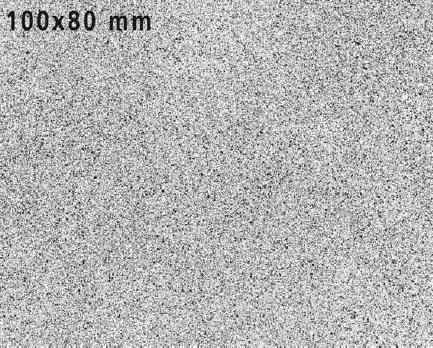 數(shù)字圖像相關(guān)法dic-散斑制作圖例.jpg 數(shù)字圖像相關(guān)法dic-散斑制作圖例.jpg