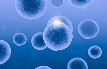  3D-DIC應(yīng)變測量技術(shù)用于細胞培養(yǎng)室的生物力學(xué)研究