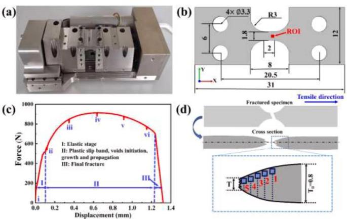 3D-DIC應(yīng)變測量技術(shù)用于探究多尺寸微觀結(jié)構(gòu)損傷機制.jpg 3D-DIC應(yīng)變測量技術(shù)用于探究多尺寸微觀結(jié)構(gòu)損傷機制.jpg